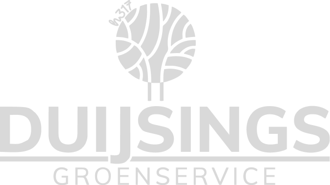 Duijsings logo